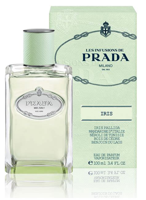 prada infusion d iris review